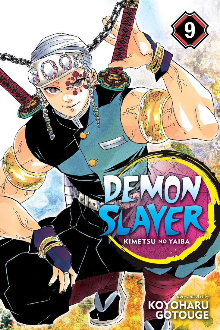 Demon Slayer - Vol 9