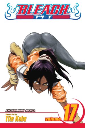 Bleach  - Volume 17