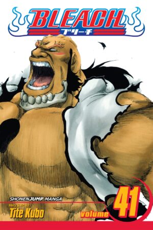 Bleach  - Volume 41
