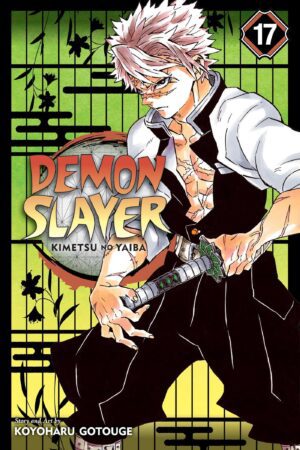 Demon Slayer - Volume 17