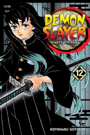 Demon Slayer - Volume 12