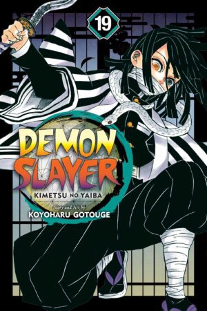 Demon Slayer - Volume 19