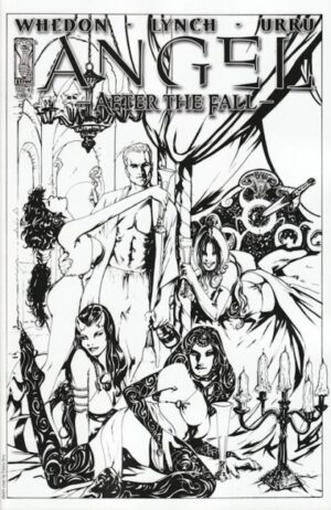 Angel: After the Fall # 2C