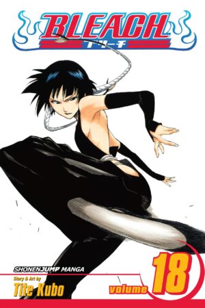 Bleach  - Volume 18