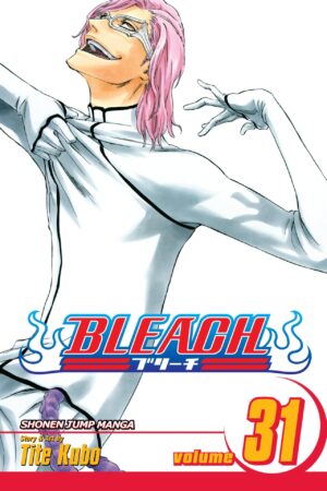 Bleach  - Volume 31