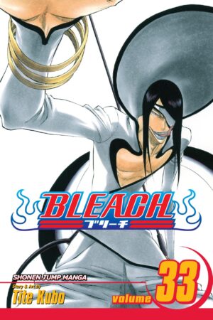 Bleach  - Volume 33