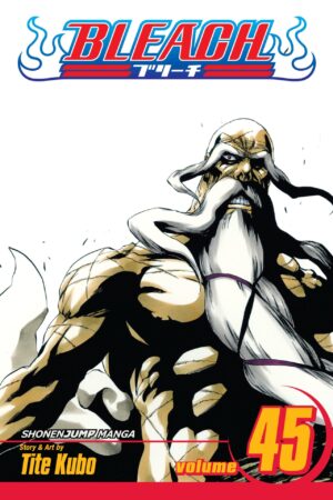 Bleach  - Volume 45
