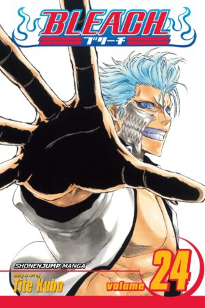 Bleach - Volume 24