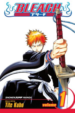 Bleach - Volume 1