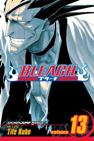 Bleach - Volume 13
