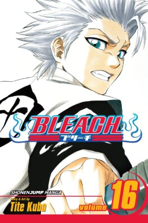 Bleach - Volume 16