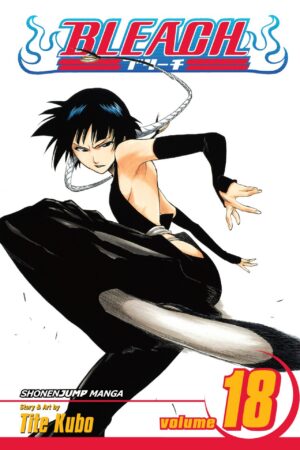 Bleach - Volume 18