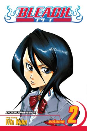 Bleach - Volume 2