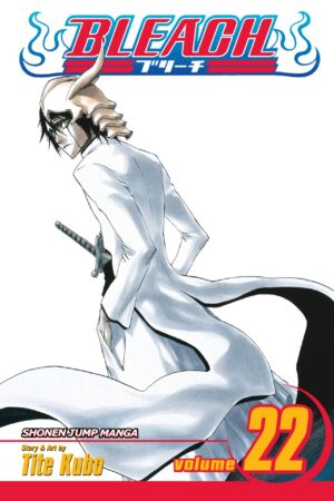 Bleach - Volume 22