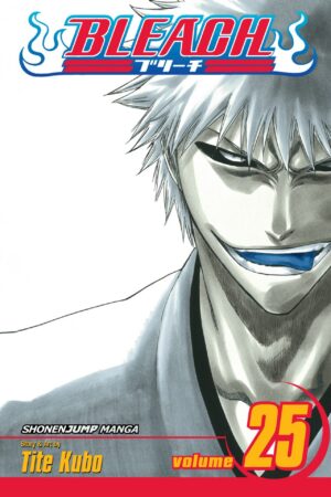 Bleach - Volume 25