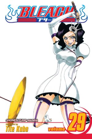 Bleach - Volume 29