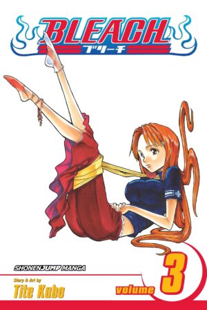 Bleach - Volume 3