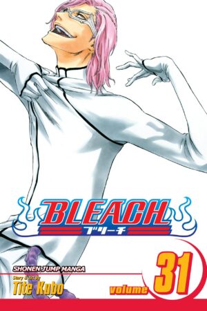 Bleach - Volume 31