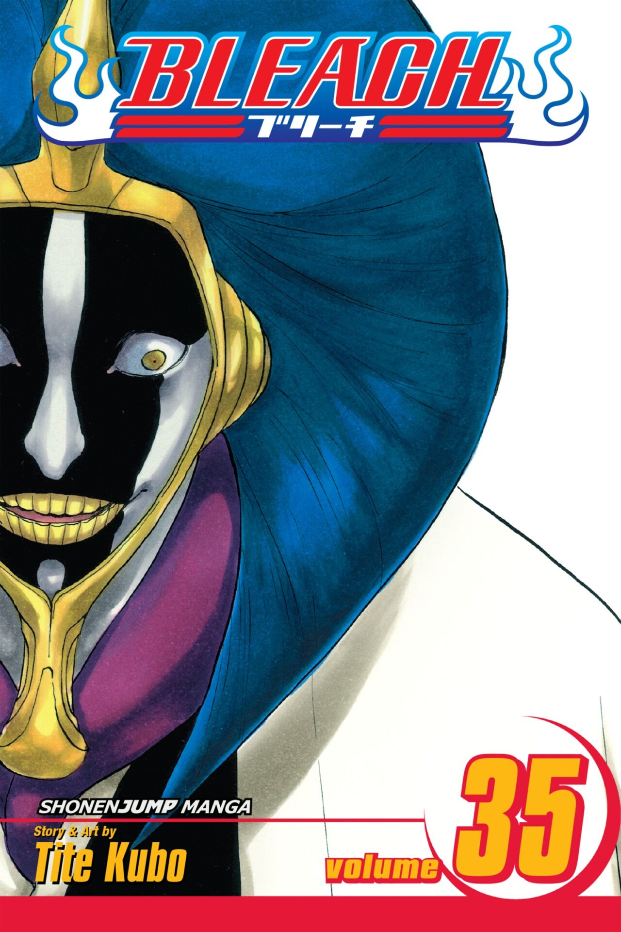 Bleach - Volume 35