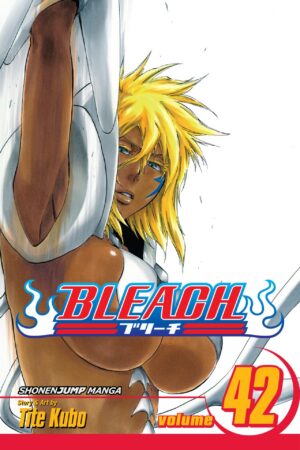 Bleach - Volume 42