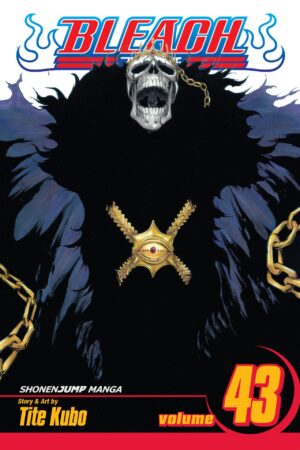 Bleach - Volume 43
