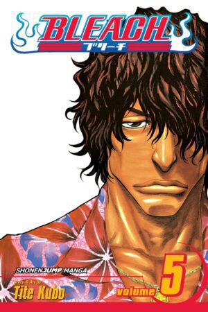 Bleach - Volume 5