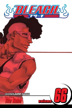 Bleach - Volume 66