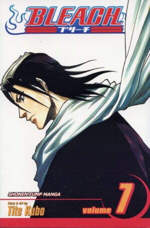 Bleach - Volume 7
