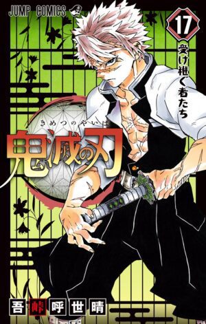 Demon Slayer - (Japanese) - Volume 17
