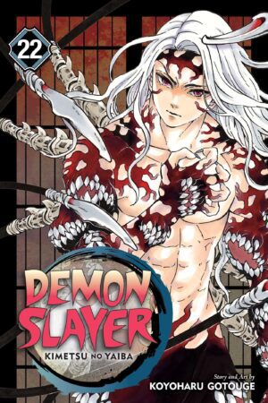 Demon Slayer - Volume 22