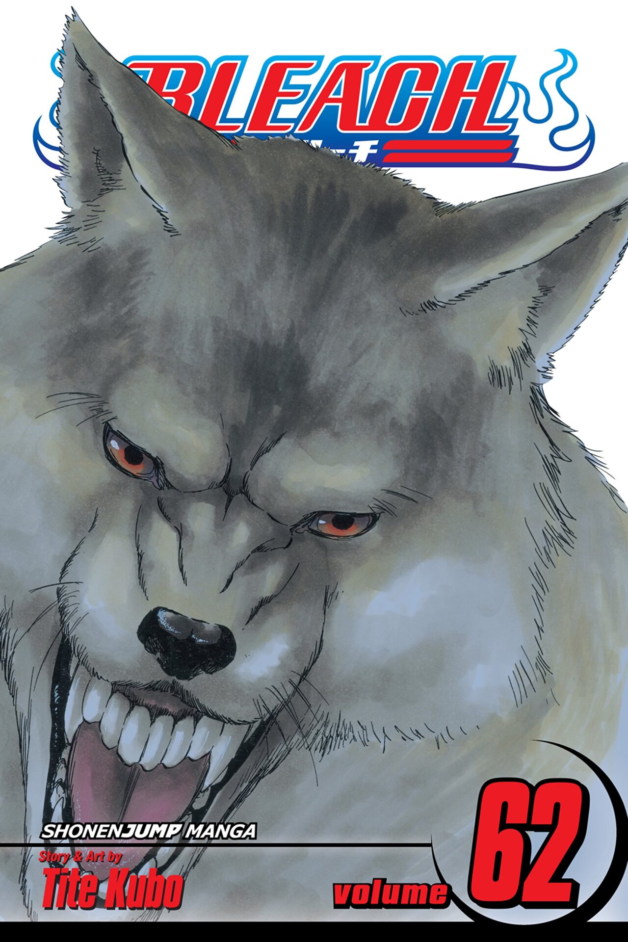 Bleach - Volume 62